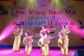 Chương trình văn nghệ đón Xuân. (Ảnh: Phạm Kiên/Vietnam+)