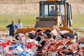 Nga tiến hành tiêu hủy hoa quả nhập khẩu trái phép tại thành phố Novozybkov, cách Moskva 600km ngày 7/8. (Nguồn: AFP/TTXVN)