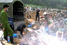 Số thịt gà được tiêu hủy. (Ảnh: Nguyễn Hoàng/Vietnam+)