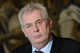 Tổng thống Cộng hòa Czech Milos Zeman trong cuộc họp báo ở Cung điện Praha ngày 10/1/2014. (Nguồn: AFP/TTXVN)
