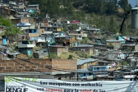 Băngrôn phát động chiến dịch ngăn chặn sự lây lan của virus Zika tại khu vực Bello, Antioquia, Colombia ngày 26/1. (Nguồn: AFP/TTXVN)