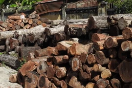 (Ảnh minh họa: Thanh Tân/TTXVN)