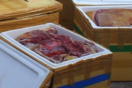 (Ảnh minh họa: Phạm Cường/TTXVN)