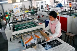 Ông Rik Vermeersch, Chủ tịch chương trình "Đoàn kết" (Manifiesta) của đảng Lao động (PTB) của Bỉ, đã đánh giá cao tình hình phát triển kinh tế-xã hội của Việt Nam trong thời gian qua. (Ảnh minh họa: Danh Lam/TTXVN)