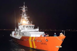 (Ảnh minh họa: Trần Lê Lâm/TTXVN)