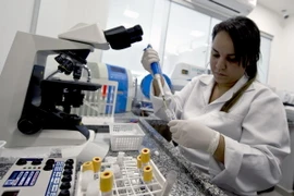 Chuyên gia phân tích mẫu máu nhằm phát hiện virus Zika tại phòng thí nghiệm ở Rio de Janeiro, Brazil ngày 25/1. (Nguồn: AFP/TTXVN)