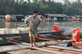 Cá bè nuôi chết nổi trắng mặt nước tại một bè nuôi trên sông Đồng Nai. (Ảnh: Sỹ Tuyên/TTXVN)