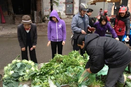 Giá các loại rau, củ, quả giảm nhẹ sau Tết. (Ảnh: Quỳnh Trang/Vietnam+)