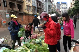 Rau củ quả tăng giá mạnh. (Ảnh: Quỳnh Trang/Vietnam+)