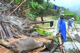 Bổ sung xét hộ nghèo cho các gia đình gặp khó khăn đột xuất