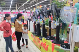 Nhiều sản phẩm điện máy làm mát được giảm giá lên tới 40%. (Ảnh: PV/Vietnam+)