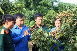 Tuyển 500 cán bộ xã: Khó có khả năng xảy ra tiêu cực 