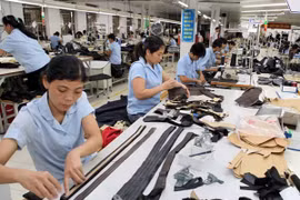 “Doanh nghiệp có thể chỉ duy trì mức thưởng Tết bằng năm ngoái”