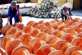 Ảnh minh họa. (Ảnh: Trần Việt/TTXVN).