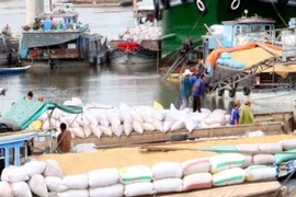 Mua lúa, gạo tạm trữ tại Xí nghiệp Chợ Trung tâm nông sản Thanh Bình, huyện Thanh Bình - Đồng Tháp. (Ảnh: Đình Huệ/TTXVN).