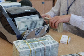 Ảnh minh họa. (Nguồn: Internet).