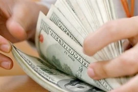 Ảnh minh họa. (Nguồn: Internet).