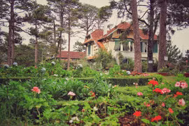[Photo] Đà Lạt níu chân du khách với những sắc hoa rực rỡ sắc màu