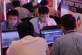 Ảnh minh hoạ. (Ảnh: Minh Sơn/Vietnam+)