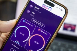 Ảnh minh hoạ. (Ảnh: Minh Sơn/Vietnam+)