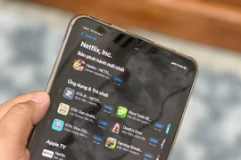 Người dùng vẫn có thể tải về game "lậu" được phát hành bởi Netflix trên App Store. (Ảnh: Minh Sơn/Vietnam+)