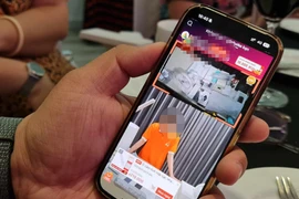 Ảnh minh hoạ. (Ảnh: Minh Sơn/Vietnam+)