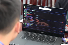 Ảnh minh hoạ. (Ảnh: Minh Sơn/Vietnam+)