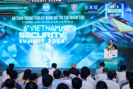 (Ảnh: Minh Sơn/Vietnam+)