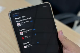 Ảnh minh hoạ. (Ảnh: Minh Sơn/Vietnam+)