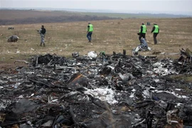 Hiện trường vụ rơi máy bay MH17 của hãng hàng không Malaysia Airlines ở miền Đông Ukraine ngày 11/11/2014. (Ảnh: AFP/TTXVN)