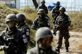 Lực lượng quân đội Hàn Quốc. (Nguồn: AP)