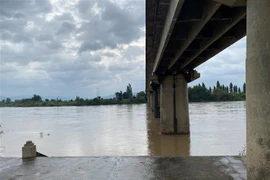 Ảnh minh họa. (Ảnh: TTXVN phát)