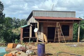 Đất đai bị lấn chiếm, xây dựng nhà và rao bán trái phép trước trụ sở Công ty Nam Tây Nguyên. (Ảnh: Minh Hưng/TTXVN)