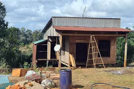 Đất đai bị lấn chiếm, xây dựng nhà và rao bán trái phép trước trụ sở Công ty Nam Tây Nguyên. (Ảnh: Minh Hưng/TTXVN)
