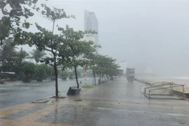 Khu vực ven biển Mỹ Khê, Đà Nẵng trước khi bão số 4 đổ bộ. Ảnh: Văn Dũng/TTXVN