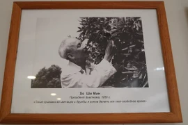 Chủ tịch Hồ Chí Minh đã để lại “dấu ấn xanh” trên Cây Hữu nghị năm 1959. (Ảnh: Duy Trinh/TTXVN)