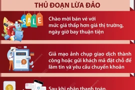 Người dân cảnh giác với vé máy bay giả trong dịp cao điểm Tết Giáp Thìn 