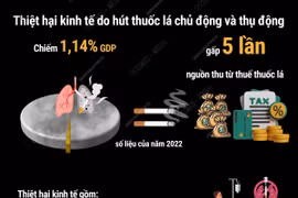 Thiệt hại kinh tế do hút thuốc lá gấp 5 lần thuế thuốc lá mang lại