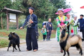 Đồng bào các dân tộc vùng Tây Bắc, Đông Bắc xuống chợ vùng cao. (Ảnh: Tuấn Đức/TTXVN)