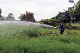 Vận hành máy bơm nước chữa cháy rừng ở Vườn quốc gia U Minh Thượng, Kiên Giang. (Ảnh: Lê Huy Hải/TTXVN)