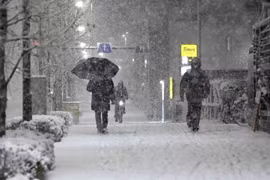 Tuyết rơi dày tại Tokyo, Nhật Bản ngày 5/2/2024. Ả(nh: Kyodo/TTXVN)