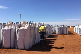 Các bao chứa đất hiếm được tập kết tại Mount Weld, thành phố Perth, để chờ chuyển đến Malaysia năm 2019. (Ảnh Reuters)