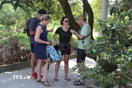 Phát triển du lịch nông thôn gắn với văn minh sinh thái