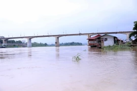 Mực nước sông Lô qua thành phố Tuyên Quang dâng cao. (Ảnh: Quang Cường/TTXVN)