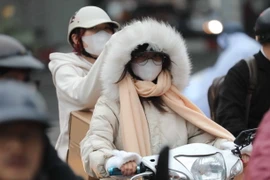 (Ảnh minh họa: TTXVN phát)