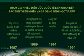 Việt Nam tích cực tham gia các cam kết quốc tế về đa dạng sinh học