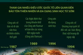 Việt Nam tích cực tham gia các cam kết quốc tế về đa dạng sinh học