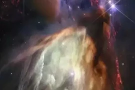 (Ảnh: timesofindia)