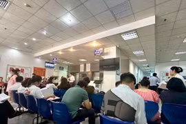 Một phiên đấu giá đất tại Hoài Đức. (Ảnh: TTXVN phát)
