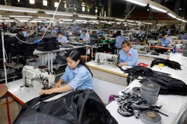 Sản phẩm túi da tiêu dùng trong nước và xuất khẩu của công ty Ladoda. (Ảnh: Trần Việt/TTXVN)